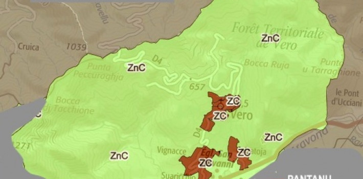 Veru : le TA annule 4 zonages constructibles de la carte communale