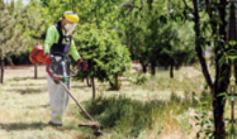 Débroussaillage , un impératif sécurité contre les incendies