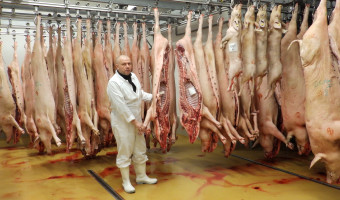 L'abattoir de Bastelica