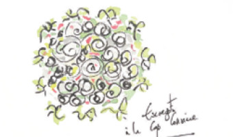 La recette de la semaine : Escargots à la Cap Corsine