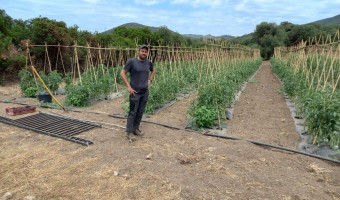 Sapè Fà : Petru Cabrera, a passione di a vita paisana