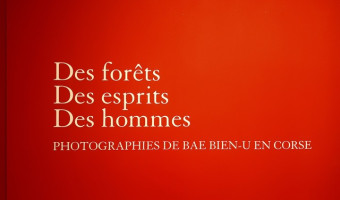 Palais Fesch : << Des forêts , des esprits et des hommes >> Bae Bien-U en Corse, quand la Méditerranéen répond à la Corée