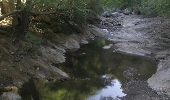 137 communes de Haute-Corse en alerte sècheresse