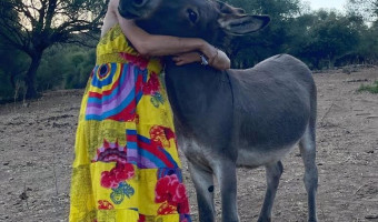 Sapè Fà : L’Orca Diana Saliceti mise sur l’agritourisme