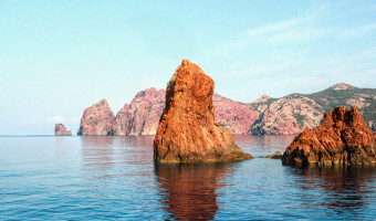 Une Réserve Naturelle Marine Et Terrestre Du Nord-Ouest De La Méditerranée, Scandula (Corse) : Biodiversité Et Leçons De 46 Années De Gestion