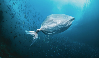 Sacs plastiques : l’interdiction qui n’arrête rien