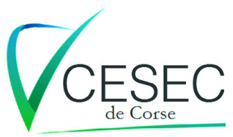 Le CESEC, quoi, combien et pourquoi ?