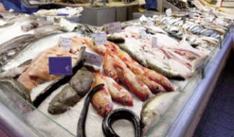 Quels poissons acheter ?