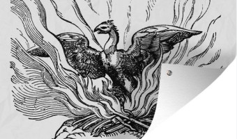 Jean Zucarelli : le dernier des Mohicans