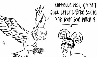 Territoriales : entre l'Aigle et le Mouflon , la Victoire hésite ...