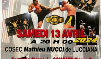 Gala du Kick Boxing