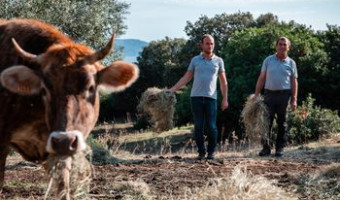 Sapè Fà : A famiglia Abbatucci, una tradizione antica