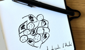 Notre recette de la semaine: à l'heure de lapéro, les baignets du jardin d'André by Anatra