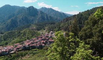 Les communes peuvent nettoyer des parcelles privées en forêt