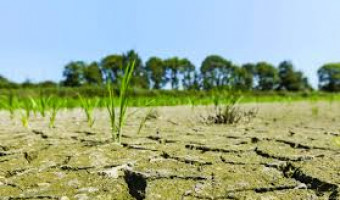 Réchauffement climatique : le temps nous est compté