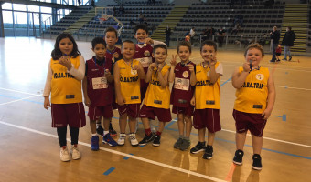 Basket : le Furiani Basket Club