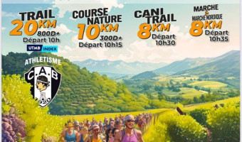 Course à pied : 9e édition de la course des vins de Patrimonio