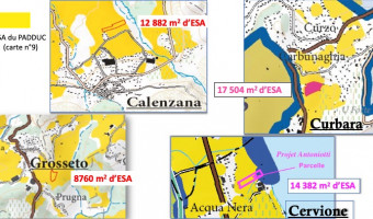 Calinzana, Curbara, Cervioni, Grussetu Prugna : quatre projets immobiliers annulés, plus de 5 hectares d’ESA ( Espaces Stratégiques Agricoles) sauvés