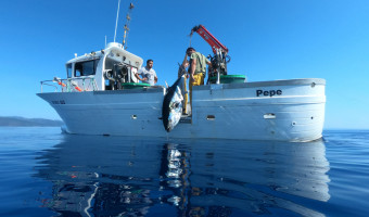 Sapè Fà : " Mare  è gustu ", da u mare à u piattu ...