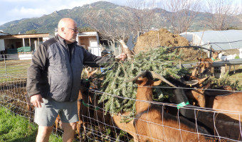 " Chez Patrick " la ferme du bonheur