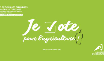 Colombani - Arena : pas si opposés que ça