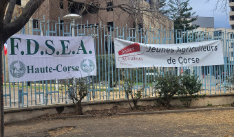 Questione agricula : FDSEA-2B et Jeunes Agriculteurs : flammes de la colère et du désarroi