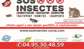 SOS INSECTES le spécialiste de la désinsectisation