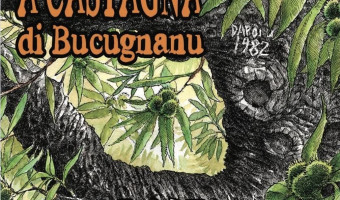 A castagna, « regina » in Bucugnà