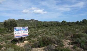 La commune de Lecci et la consommation des terres agricoles