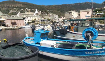 Vers une nouvelle dynamique de la pêche en Corse