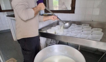 Saveriu Bocongnano : pastore à l’anticu