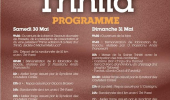 A rinascita di a fiera di a trinità