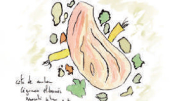 Notre recette de la semaine: Côte de cochon, légumes hibernés et gnocchi by Anatra