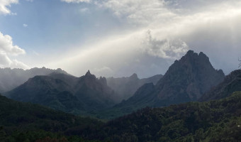 La gouvernance de la forêt corse au coeur des débats.