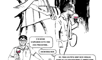 « Les sourires du vin »  Album BD de Yann Diolo et Matthias Bourdelier