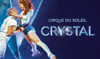Cause animale : pour un cirque sans cages