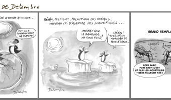 I puttachji di Carl' Antò