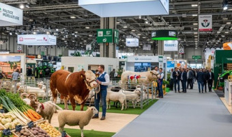 Terroirs protégés : du maquis à l’assiette