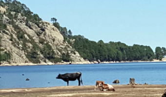 L’eau en Corse : un diagnostic lucide et l’exemple sarde