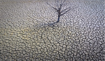 Chronique d'une catastrophe annoncée : on brûle déjà !