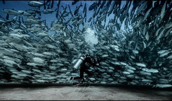 Plongée sous-marine : Tony Viacara